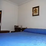 Labradores