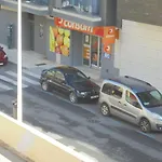 Labradores